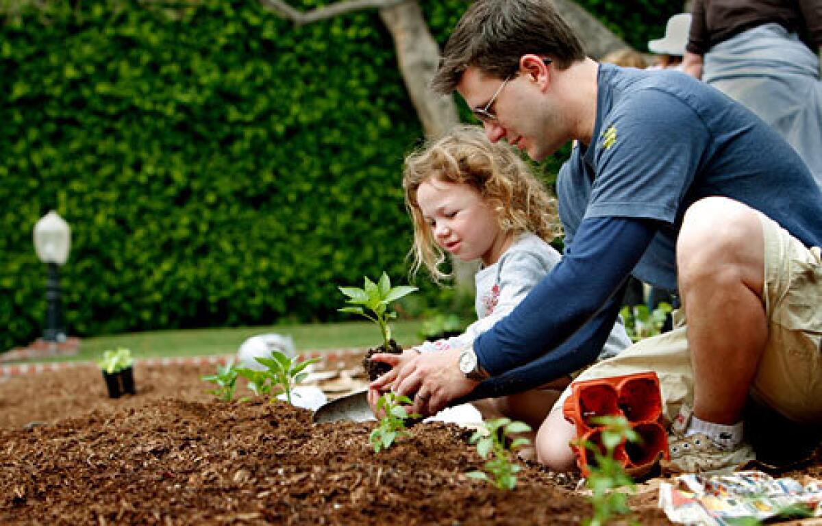 URBAN ACRES: Joshua Mogin and his daughter Joy plant in a Heart Beet Gardening project.