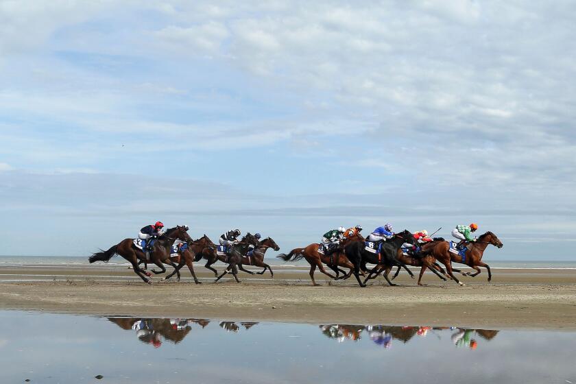 Horses race on the course on Laytown beach in County Meath on the east coast of Ireland.