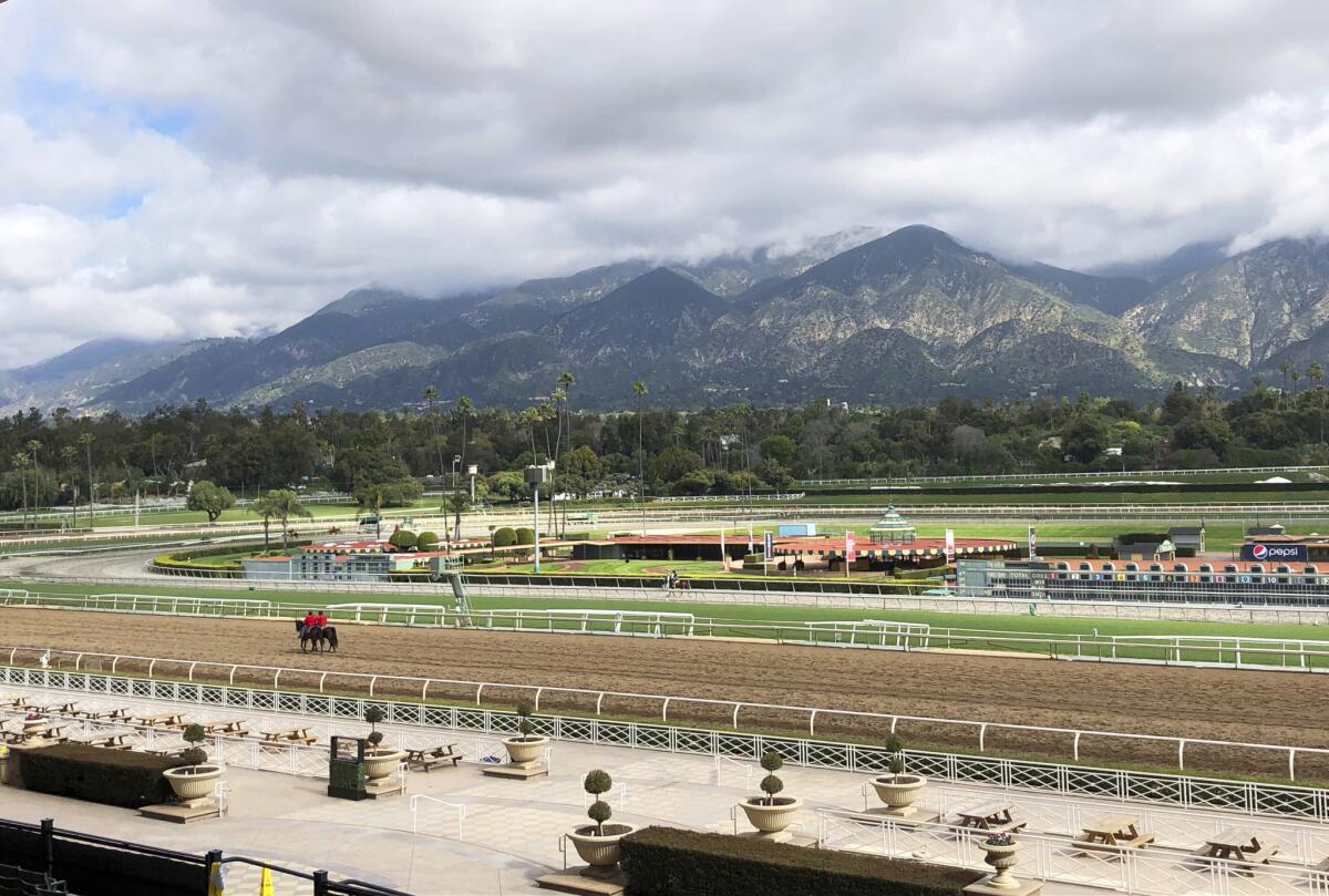Santa Anita was named last year to be this year’s host of the Breeders’ Cup. However, the rise in fatalities has made it a discussion point.