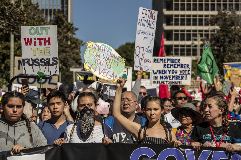 LOS ANGELES, CALIF. -- FRIDAY, NOVEMBER 1, 2019: Activists and Youth Climate Strike Los Angeles, part of the Fridays For Future movement, take to the streets for a march around the downtown area in Los Angeles, Calif., on Nov. 1, 2019. (Brian van der Brug / Los Angeles Times)