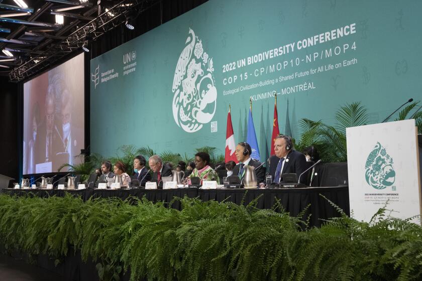The head table gets set to open the high level segment at the COP15 biodiversity conference, in Montreal, Thursday, Dec. 15, 2022. (Ryan Remiorz/The Canadian Press via AP)