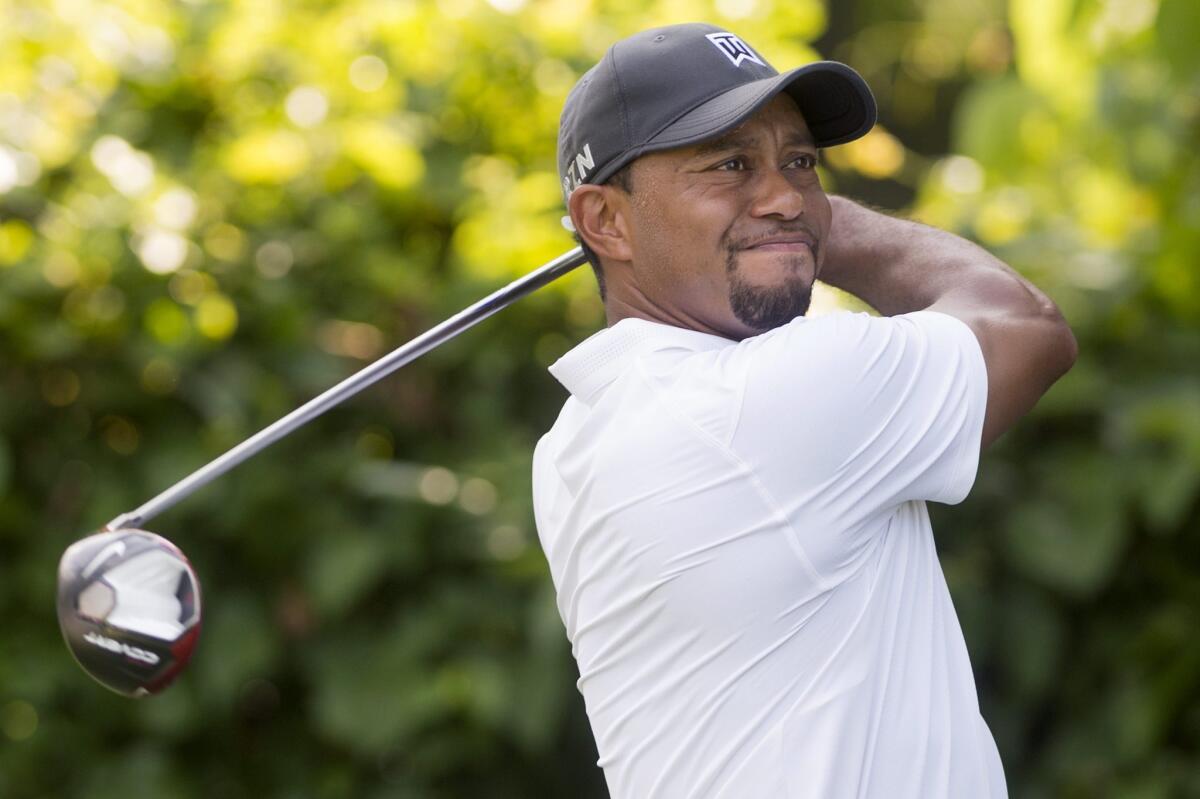Tiger Woods has won 14 majors, four fewer than Jack Nicklaus.
