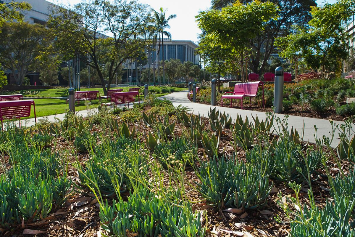 Grand Park's gardens are a great spot to relax or meet others.