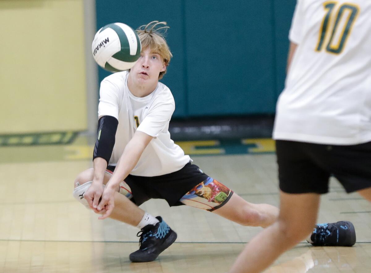 Edison's Nathan Jackson digs a ball deep in the back row during a CIF Southern Section Division 3 quarterfinal match.