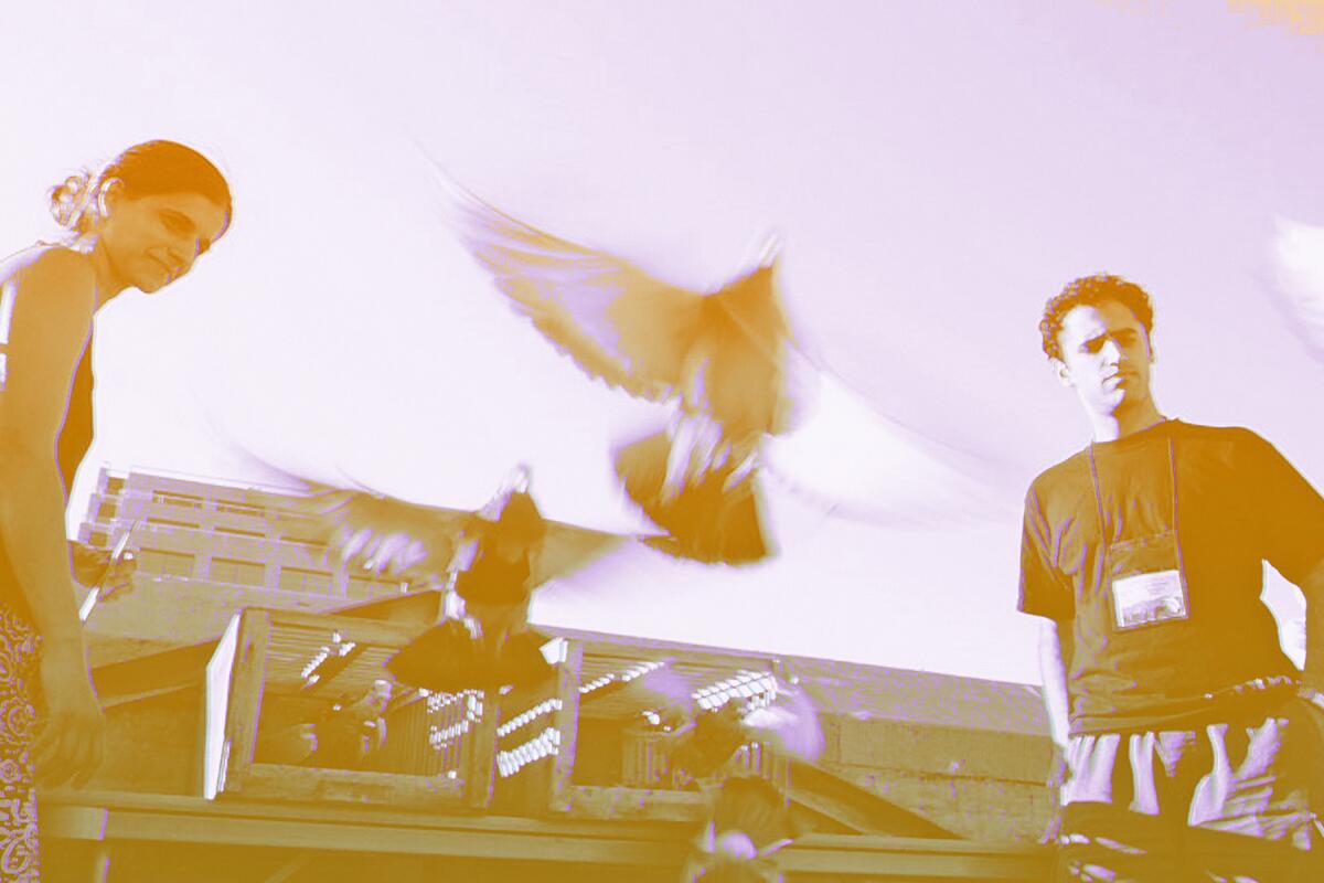 A woman and a man look on as pigeons take flight in a sepia-tone photograph.