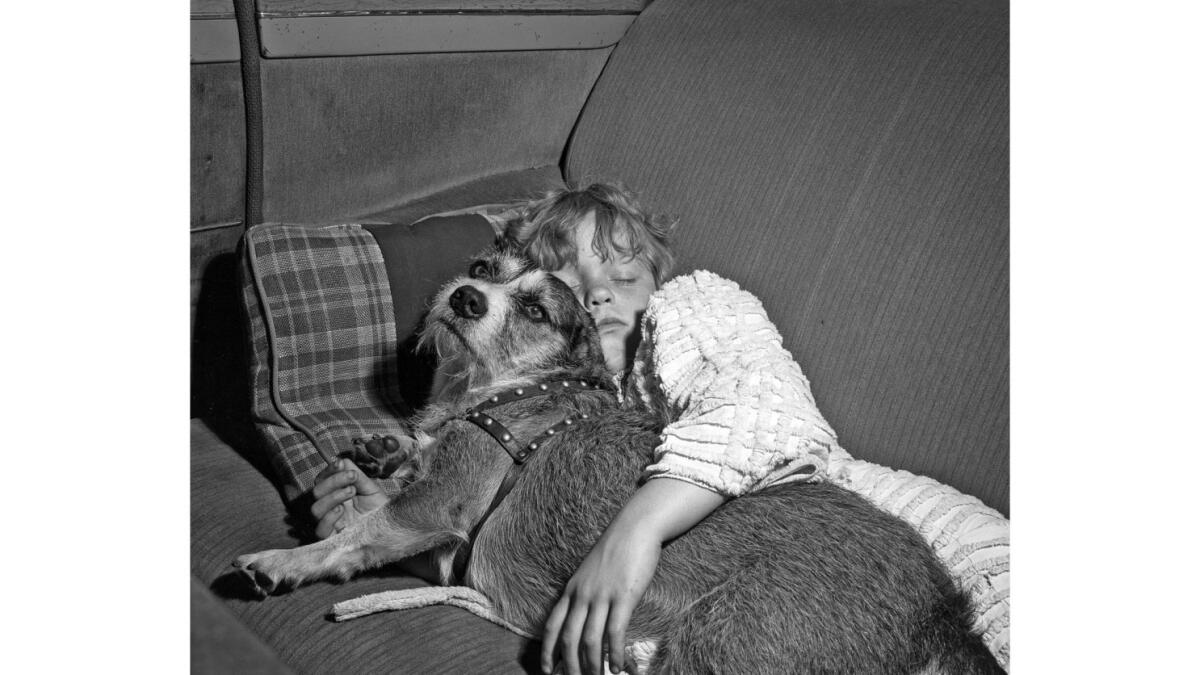 a girl hugging a dog