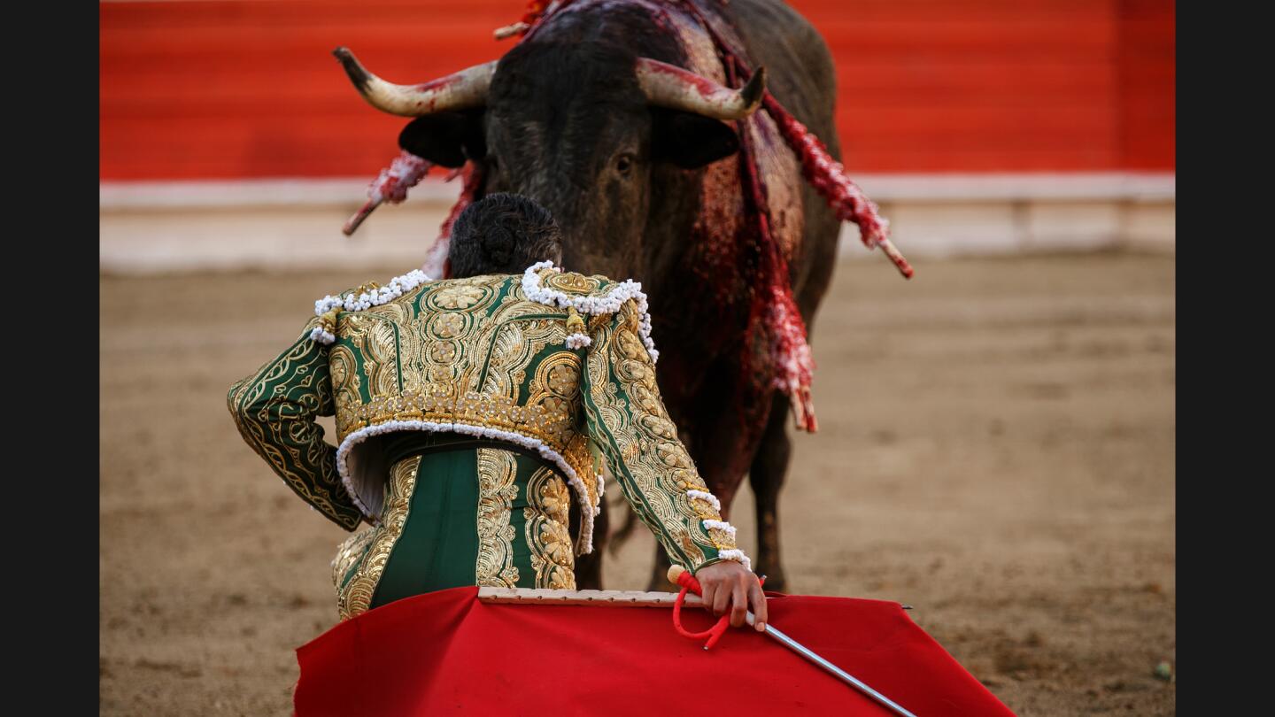 Tijuana bullfighting