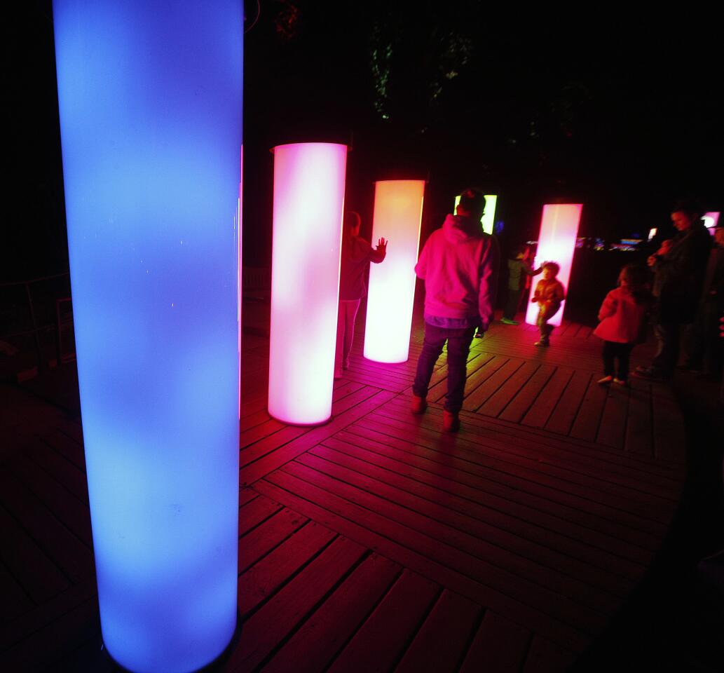 Photo Gallery: Descanso Gardens Enchanted Forest of Light