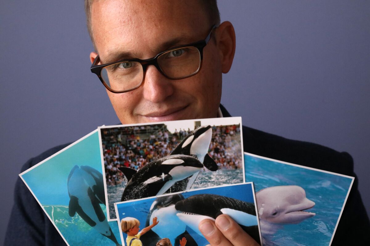 A man fans out postcards picturing orcas and a beluga whale. 