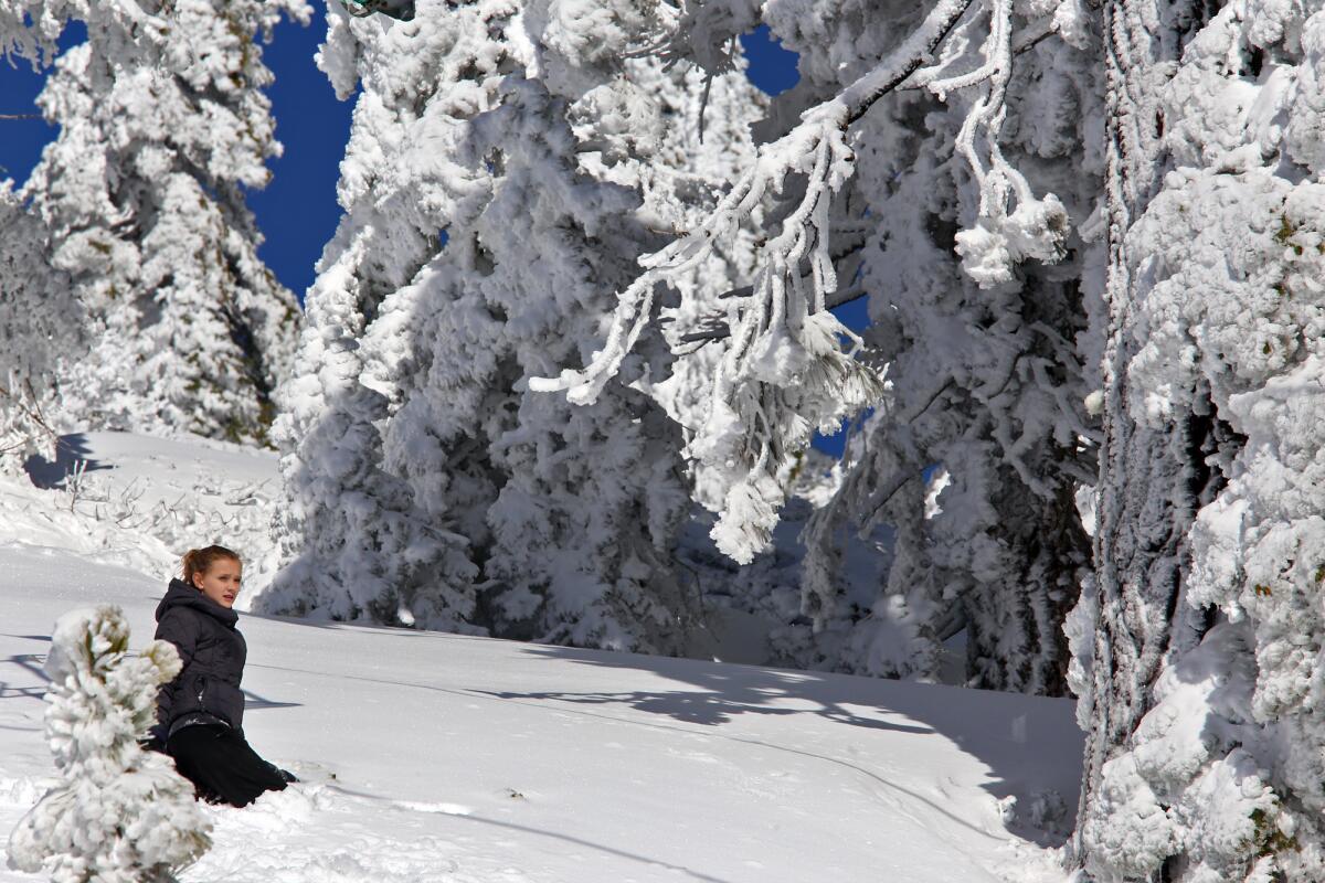 Ali Wood, 12, from Los Angeles, is surrounded by a winter wonderland Jan. 7, after an El Niño storm at the Mt. Baldy Ski Area.