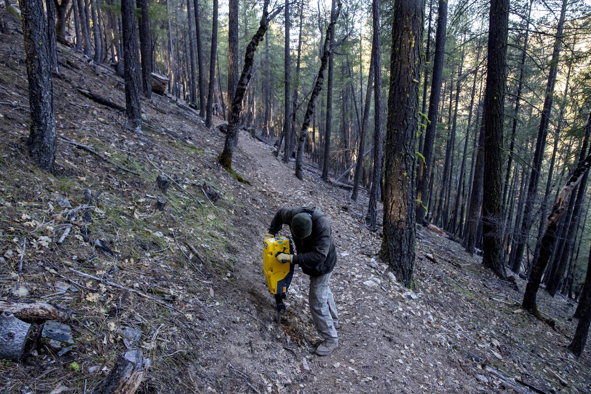 A worker makes a trail in a forest