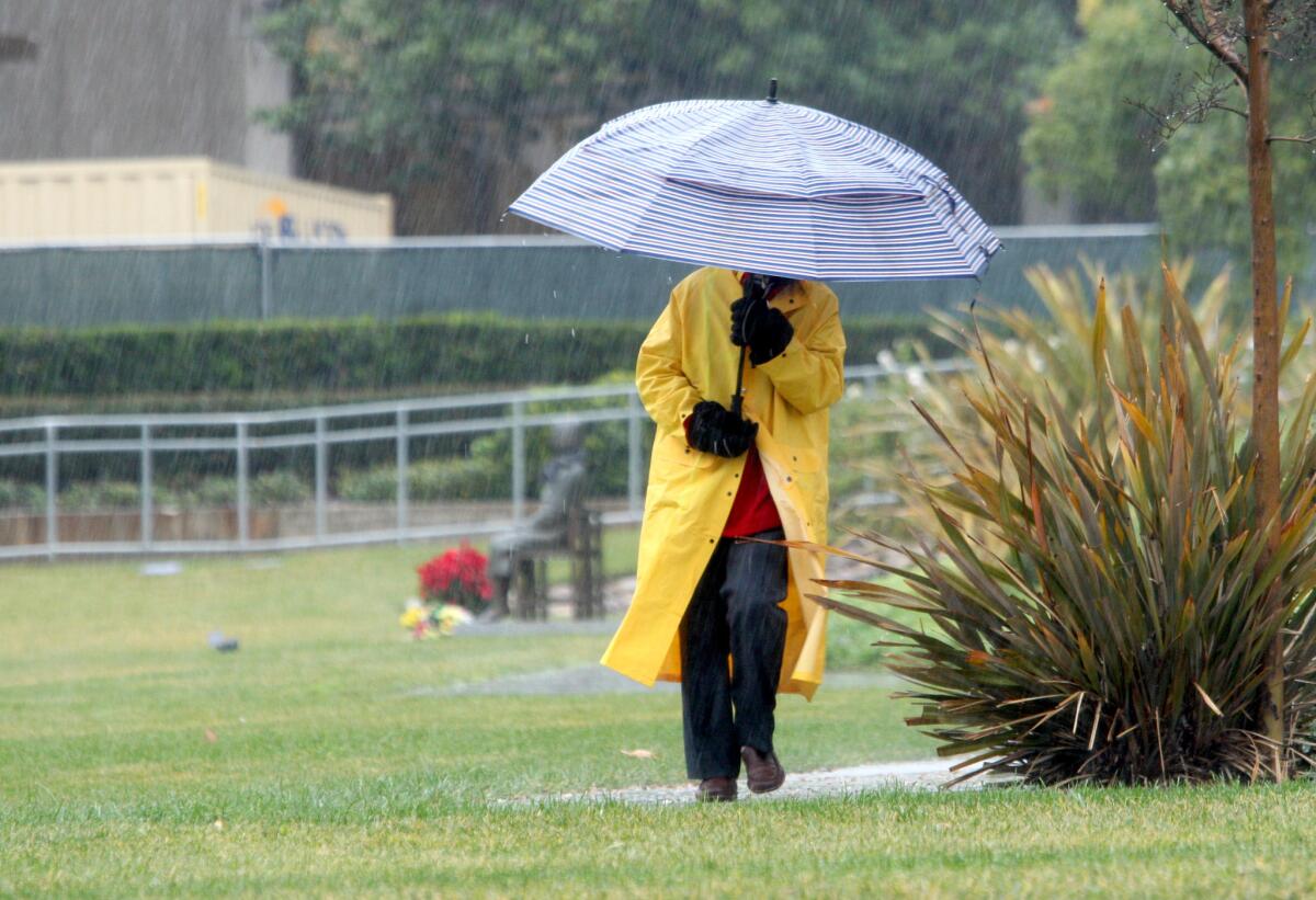 A man came out into the El Niño storm prepared with a raincoat and umbrella, walking along the Central Park sidewalk in Glendale, on Tuesday, Jan. 6, 2016. The storm is expected to continue throughout the week.