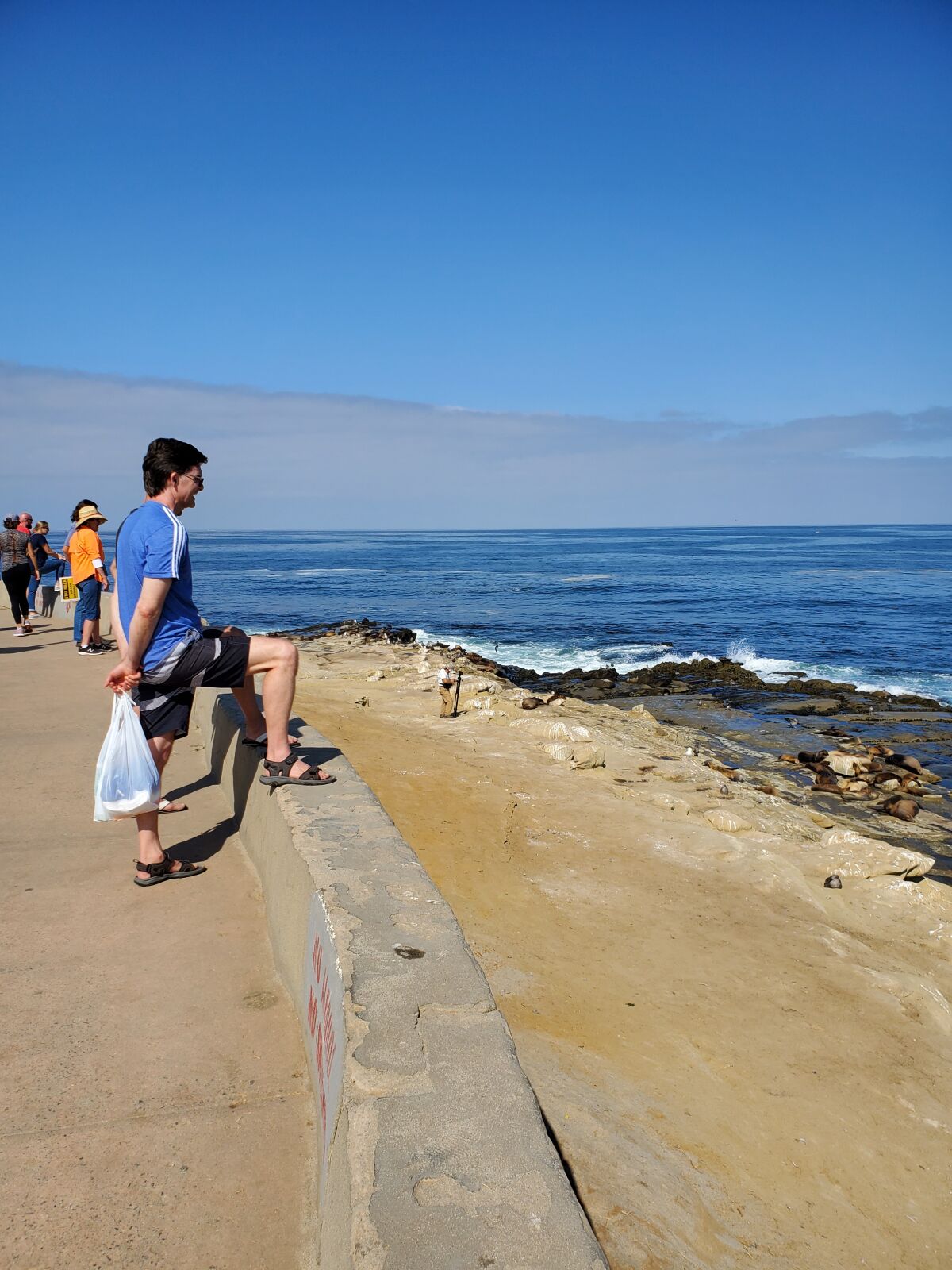 Visitors to Point La Jolla view the sea lions from behind the short wall that separates the sidewalk from the bluffs.