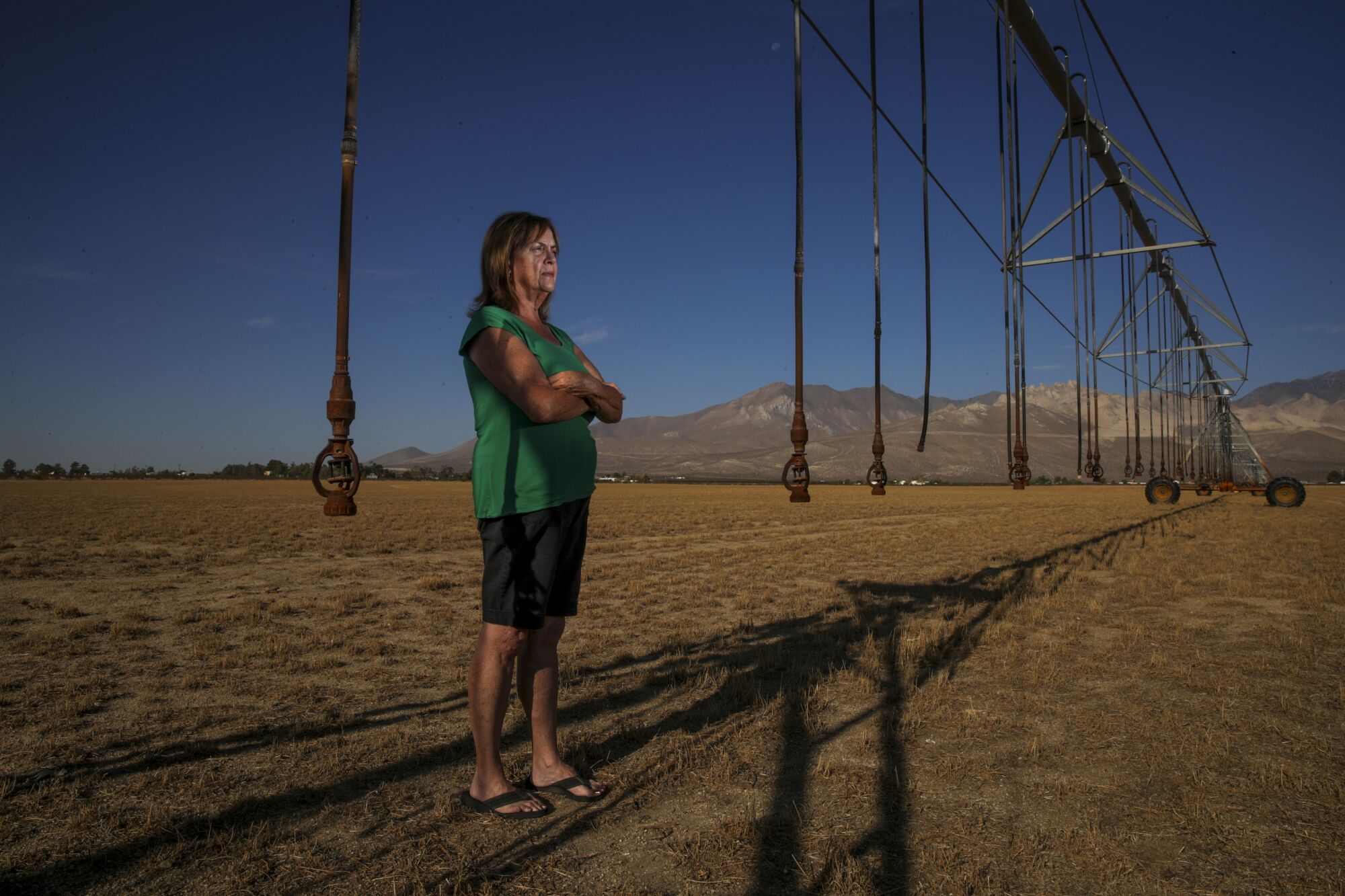 A woman stands in a barren field beneath irrigation pipes