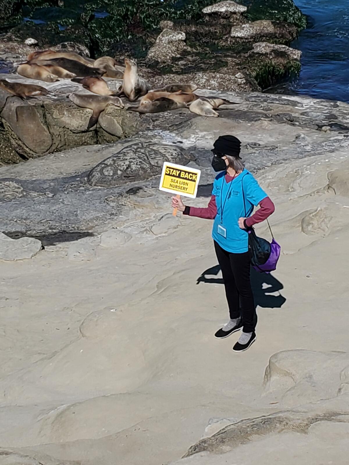 Seal Society docent Carol Archibald stands guard on the Point La Jolla bluffs.