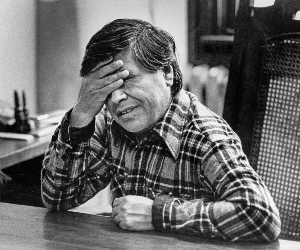 March 8, 1979: Chavez shows the effect of a hectic day in a UFW office.