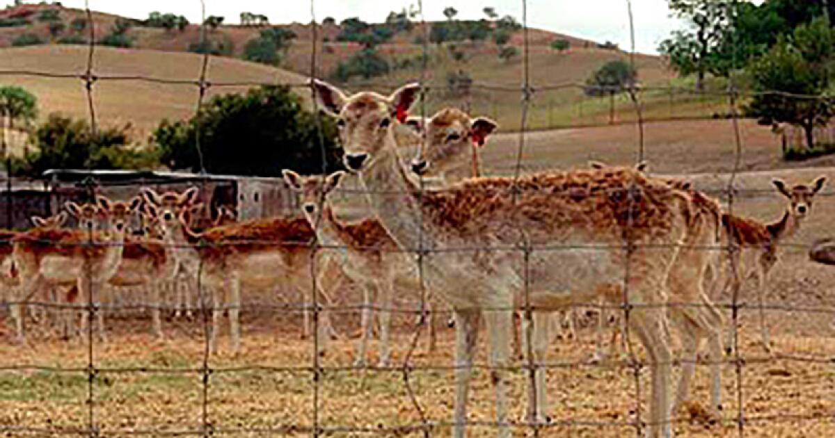 California ranch that is home to endangered species to be preserved ...