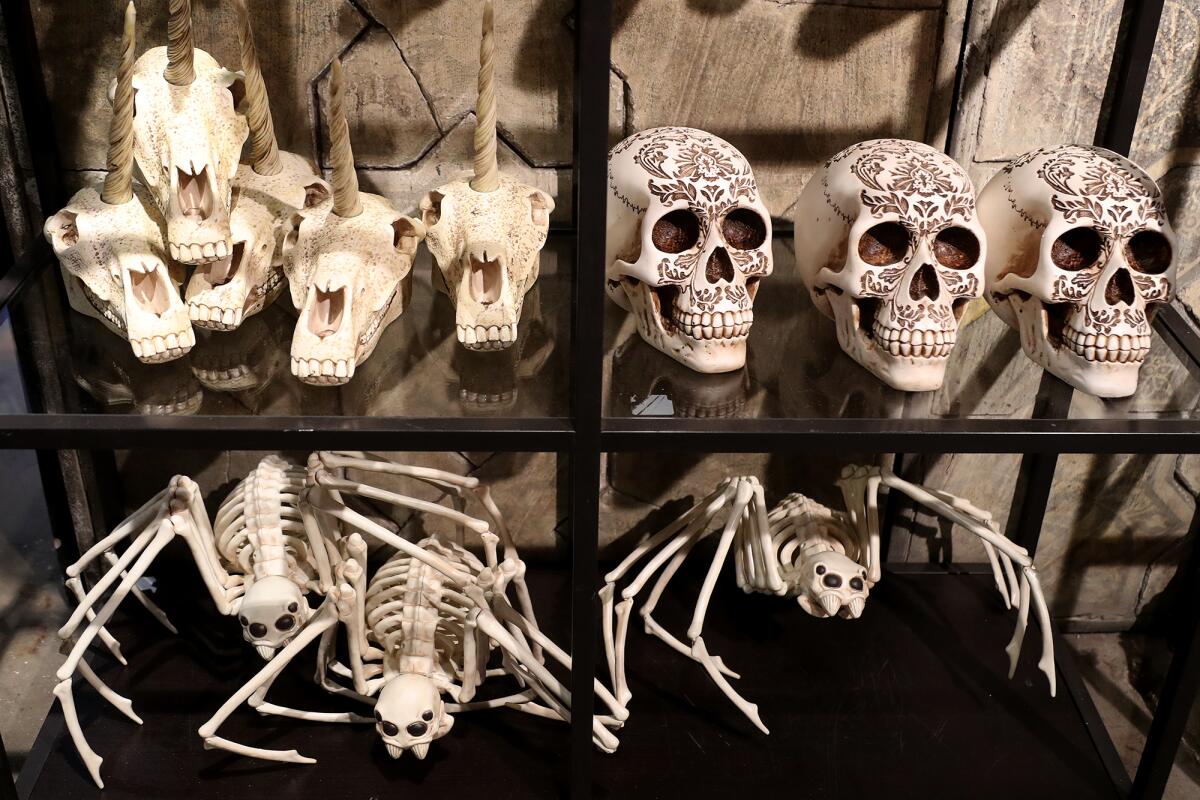 Various skeleton items for sale during "Cabinet of Curiosities," a Halloween boutique at Roger's Gardens in Corona del Mar.