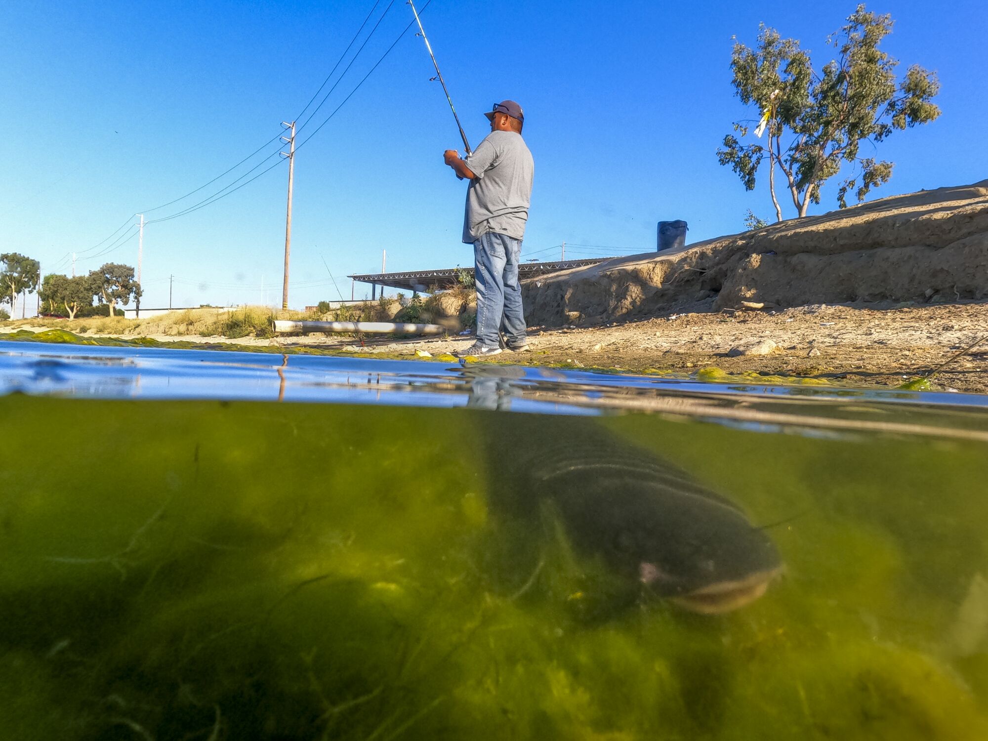 A catfish on a string is visible underwater at Santa Ana River Lakes in Anaheim