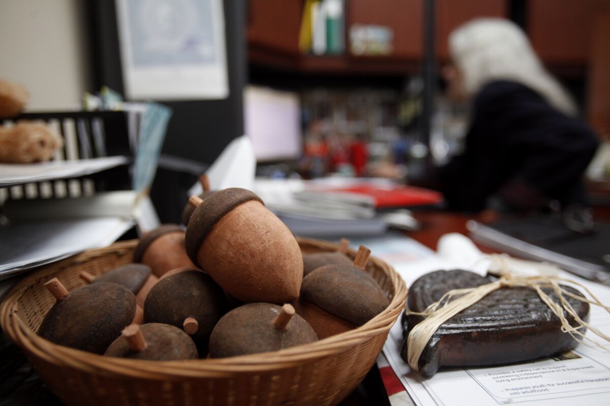 Yurok Chief Judge Abby Abinanti at her desk in Klamath, Calif. The handmade wooden acorns are given out individuals who successfully complete the tribe's wellness court program.