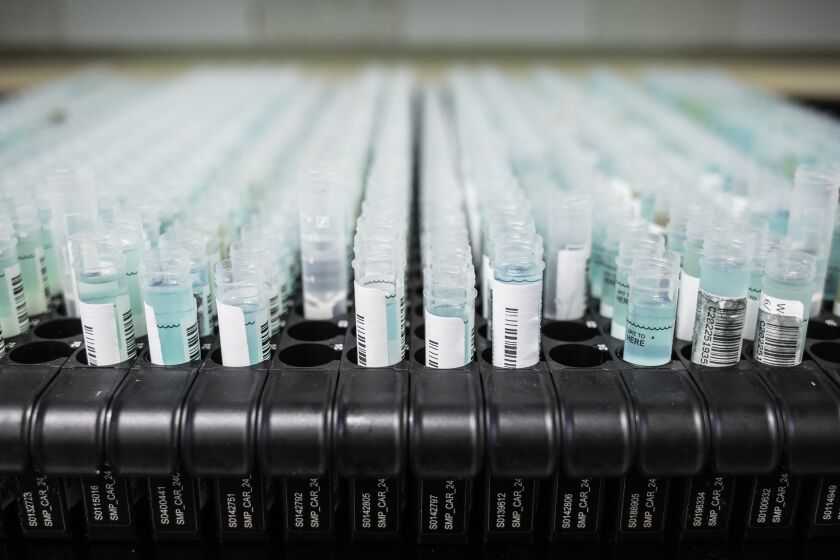 PISCATAWAY, NJ - AUGUST 13: COVID-19 saliva tests being prepared to be processed at a RUCDR lab at the Waksman Institute of Microbiology in Piscataway, N.J., on Thursday, August 13, 2020. (Photo by Bryan Anselm For The Washington Post via Getty Images)
