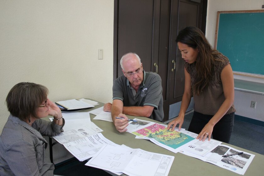 DPR member Diane Kane and chair Paul Benton work with AT&T project manager Caitlyn Kes during the project’s first hearing Aug. 9.