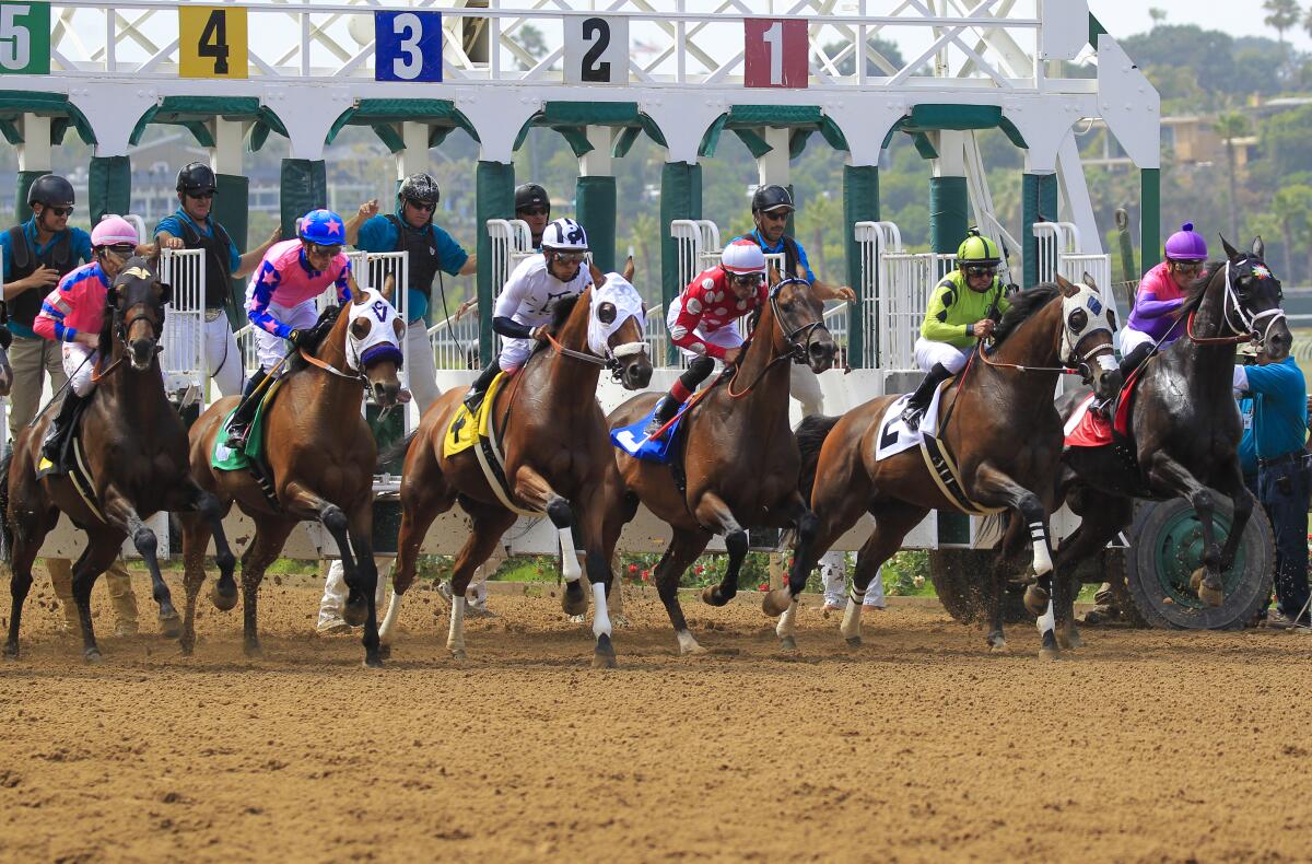 Horses come out of the gate for the third race on opening day at Del Mar Racetrack in July 2021.