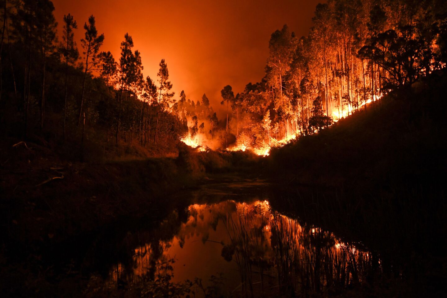 A wildfire is reflected in a stream at Penela, Coimbra, in central Portugal.