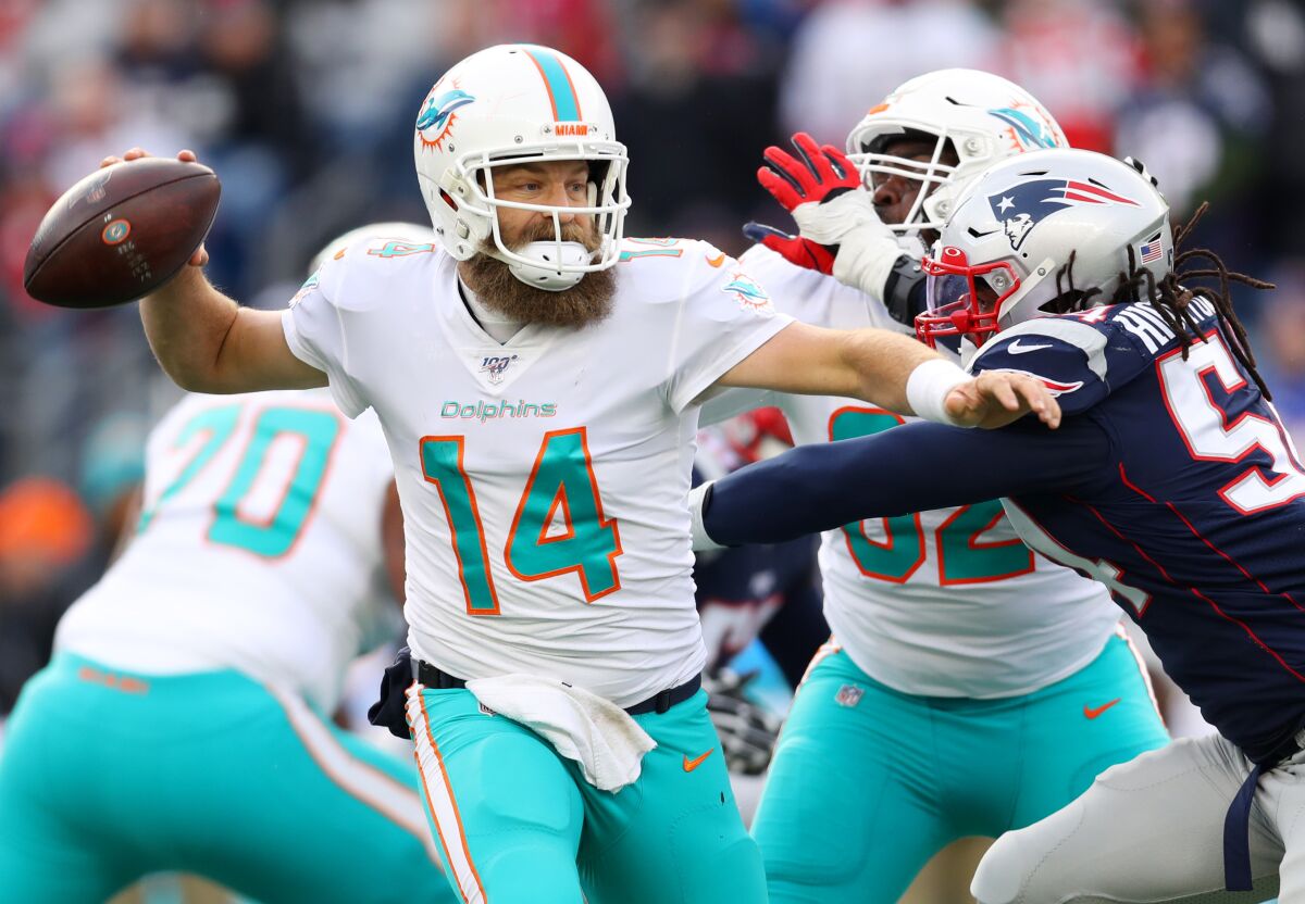 Miami Dolphins quarterback Ryan Fitzpatrick looks to pass against the New England Patriots.
