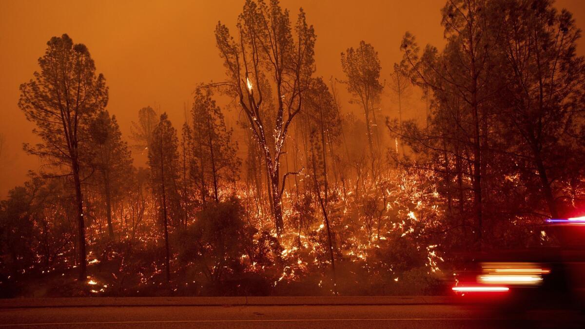 The Carr fire burns along Highway 299 in Shasta, Calif., on July 26.