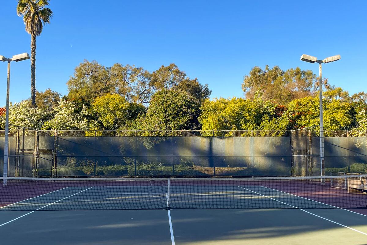 A shady tennis court with trees in the background