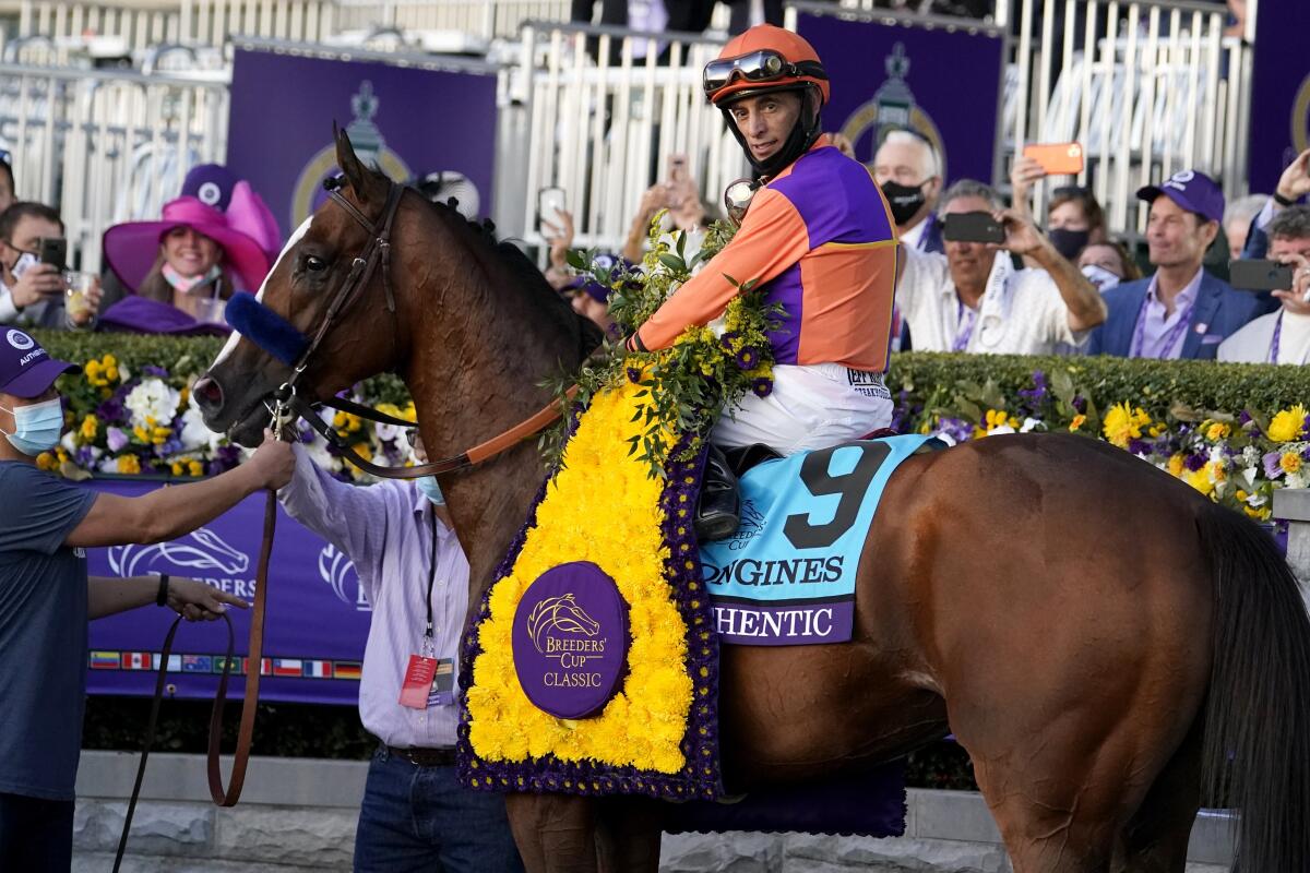 Jockey John Velazquez sits atop Authentic.