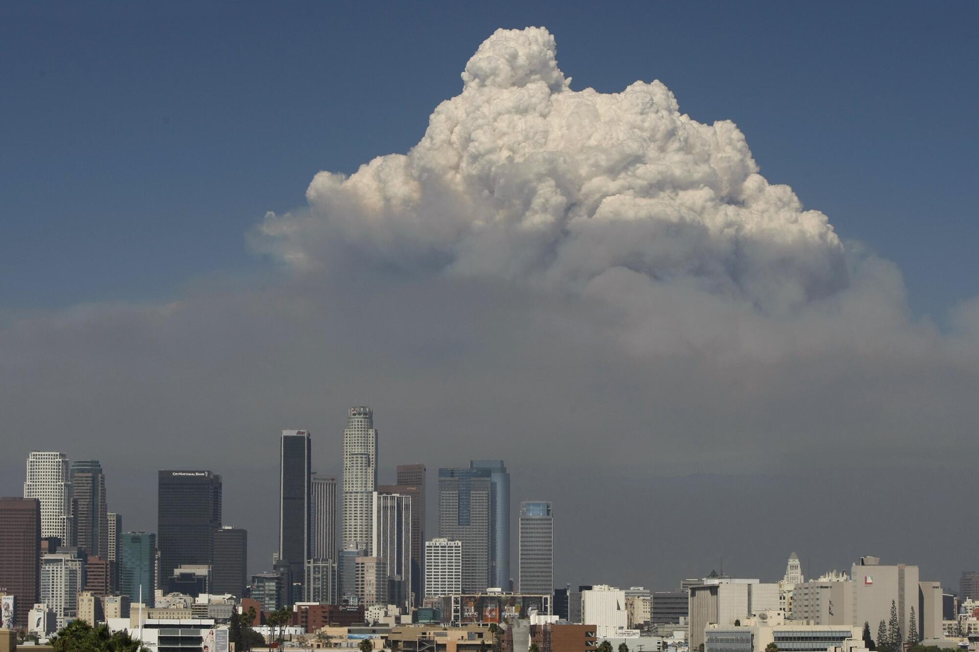 A towering smoke cloud looms over a city skyline.