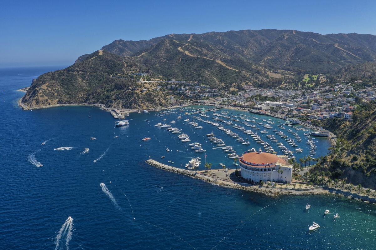 An aerial view of beach-goers recreating on a sunny summer day in Catalina Island.