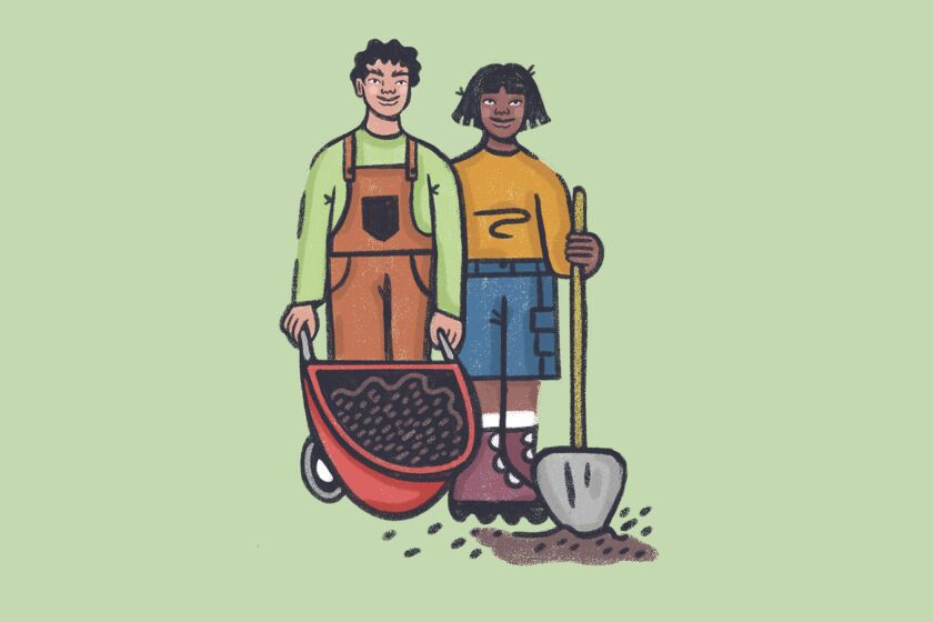 Illustration for story about composting