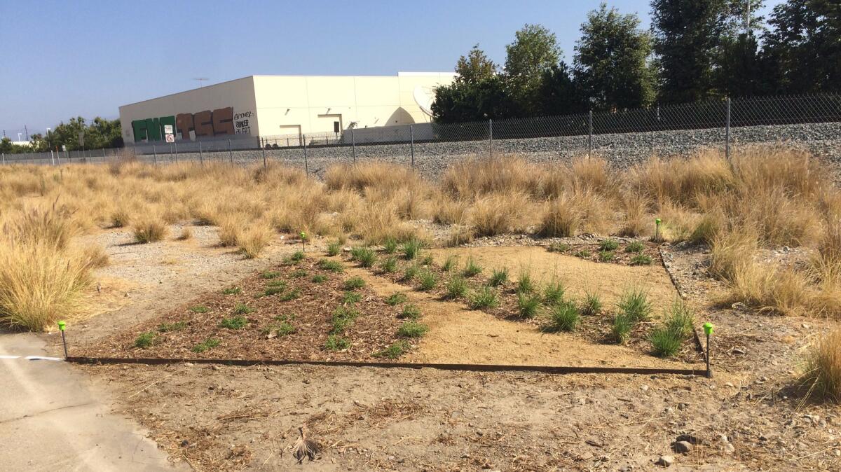 Mel Chin has offered his design to the public, so that others around Los Angeles can plant the same garden in their yards.