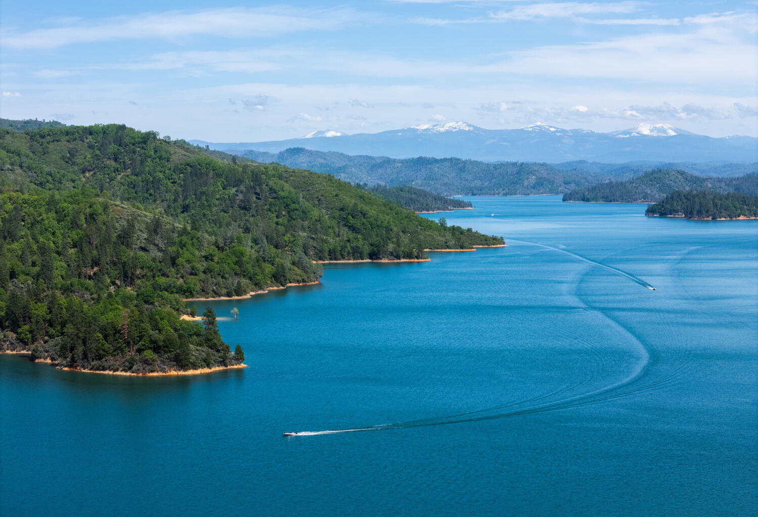 Redding Man Dies Attempting Water Rescue of Dog in Shasta Lake