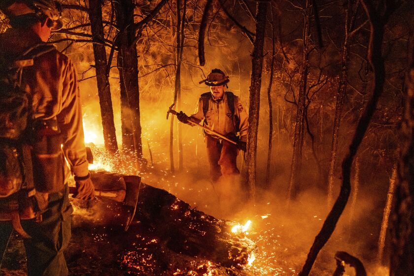 Firefighter Christian Mendoza manages a backfire, flames lit by firefighters to burn off vegetation, while battling the Mosquito Fire in Placer County, Calif., on Tuesday, Sept. 13, 2022. (AP Photo/Noah Berger)