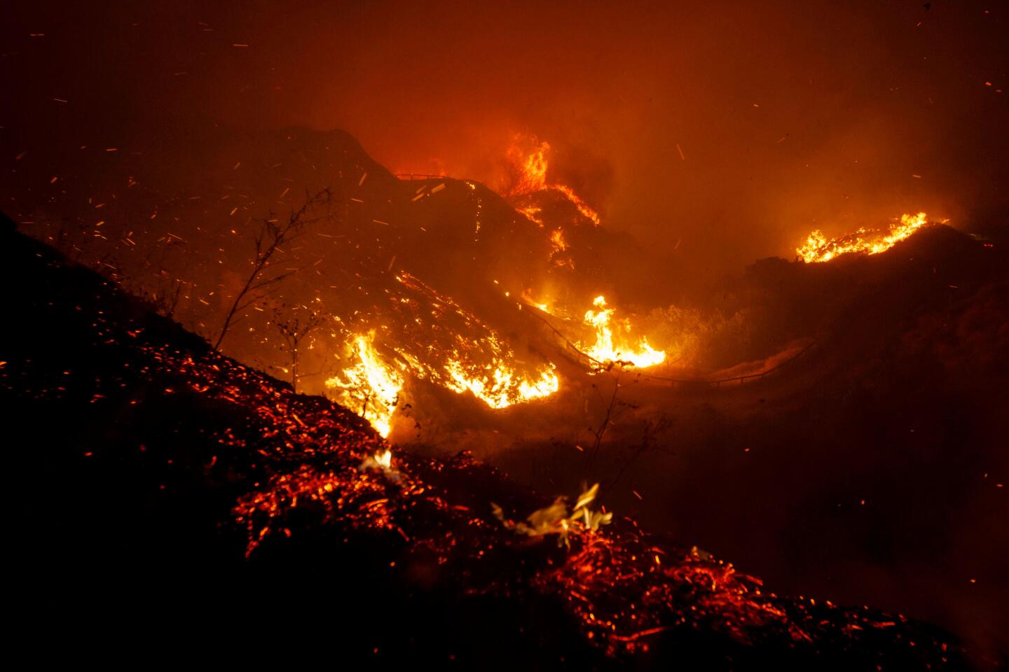 The Saddleridge fire burns in Wilbur Tampa Park near homes on Friday in the Porter Ranch neighborhood of Los Angeles.