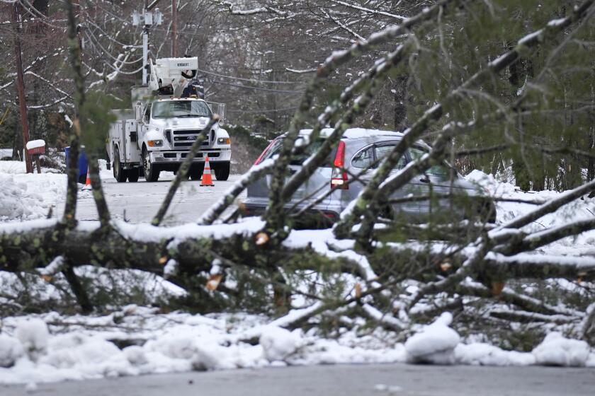 A car heads away from a large tree that fell on electric lines and landed blocking a road, Friday, April 5, 2024, in Derry, N.H. Many New Englanders are cleaning up following a major spring storm on Thursday that brought heavy snow, rain and high winds to the Northeast. Hundreds of thousands of homes and businesses are still without power in Maine and New Hampshire. (AP Photo/Charles Krupa)