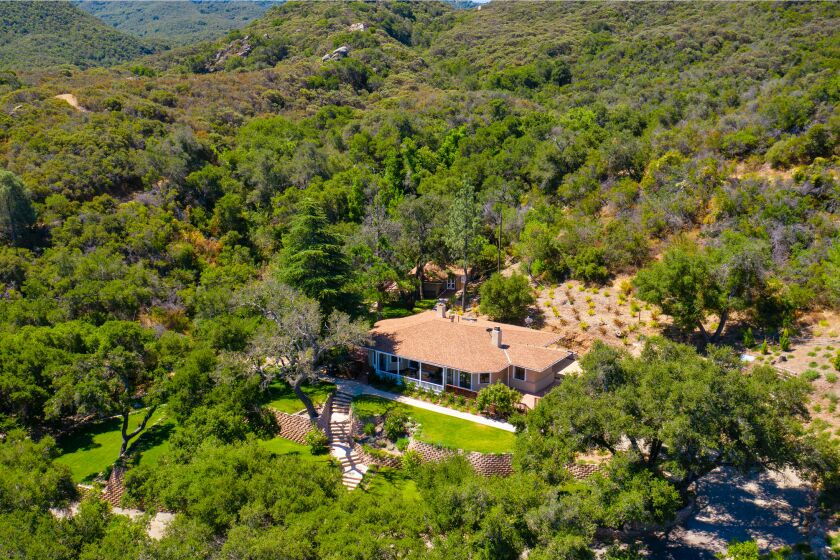 The 150-acre estate includes a main house, guesthouse, 800 olive trees and equestrian facilities such as pastures and a riding area.