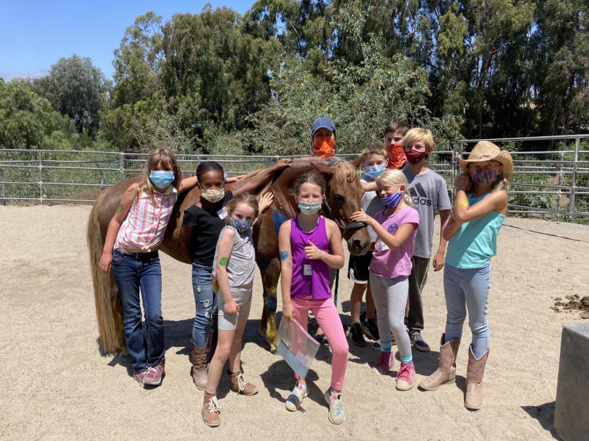 Participants at the recent Laughing Pony Rescue camp.
