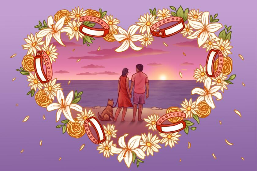 Framed by a heart made of flowers and hospital ID bracelets, a couple with a dog hold hands in front of a sunset.