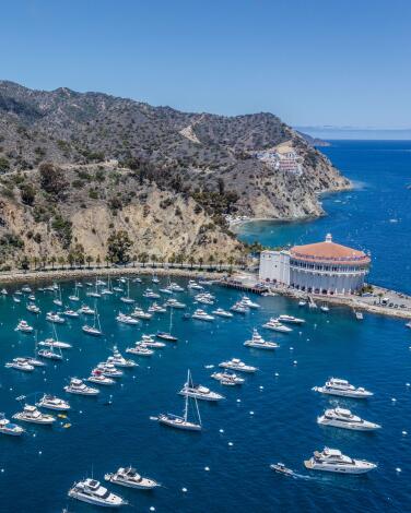 An aerial view of boats moored at Avalon Harbor.
