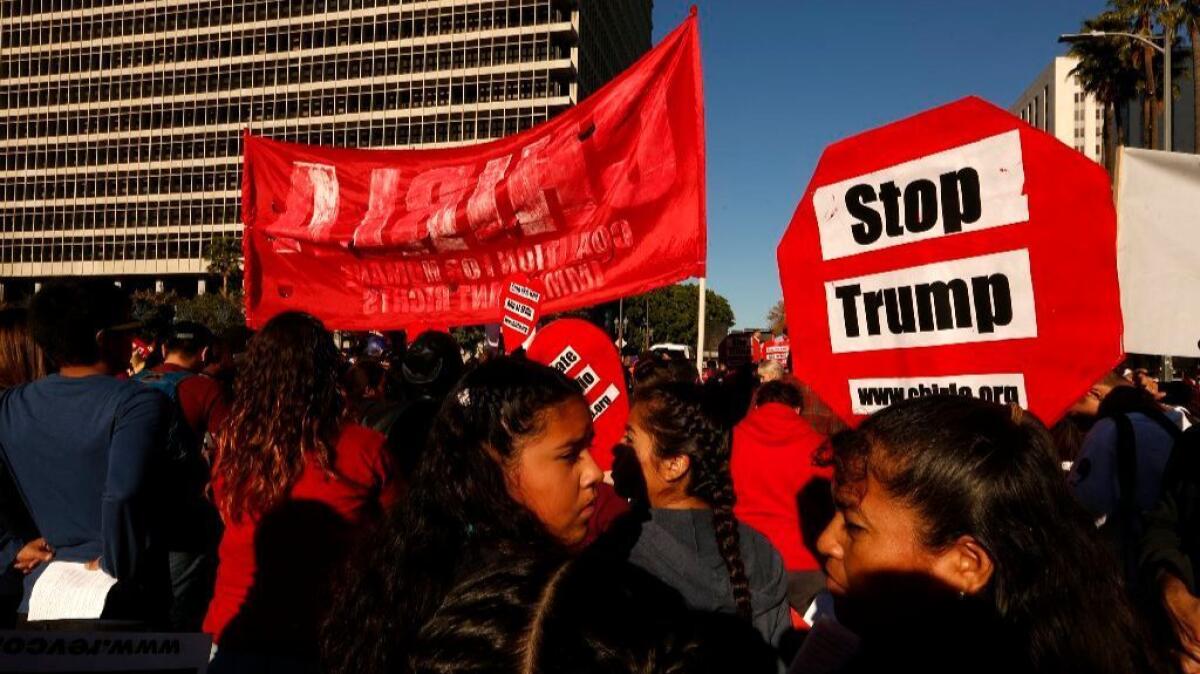 Hundreds of activists marched through the streets of downtown Los Angeles on Sunday to protest against President-elect Donald Trump.