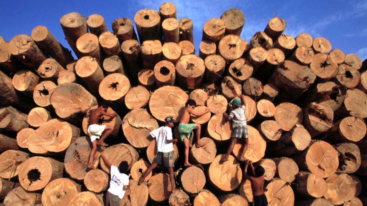 Children play around a pile of lumber from Brazil’s Amazon rainforest.