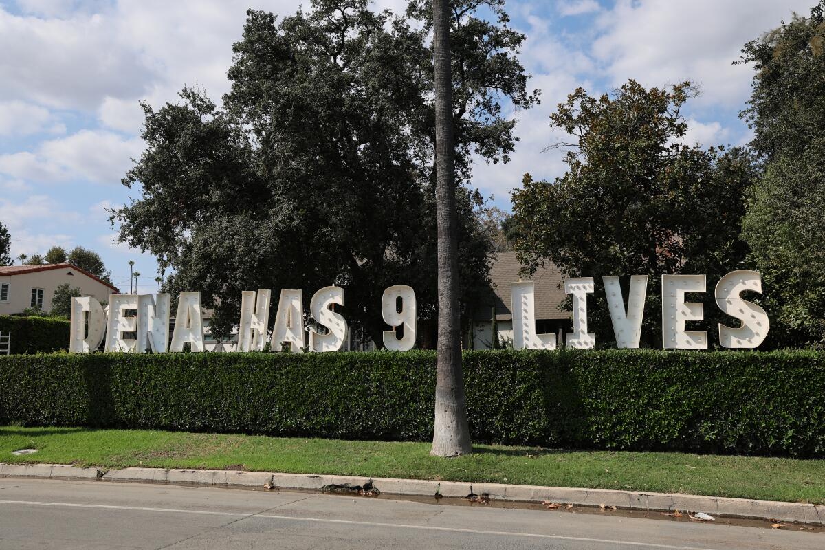 A sign adorns the owner's ownership ownership.