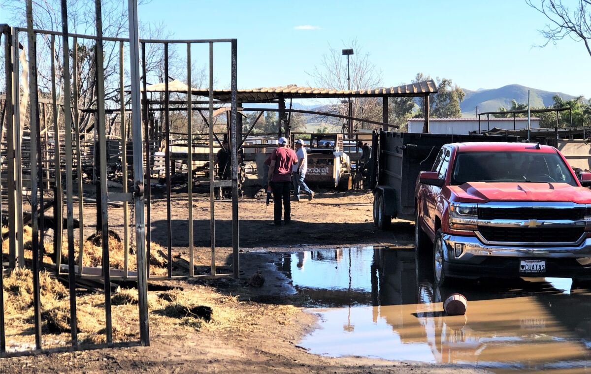 Workers recover the carcasses of 15 horses that died in a fire in Jurupa Valley, Calif., on Monday, Feb. 28, 2022. Residents and neighbors were able to save eight horses. (Brian Rokos/The Orange County Register via AP)