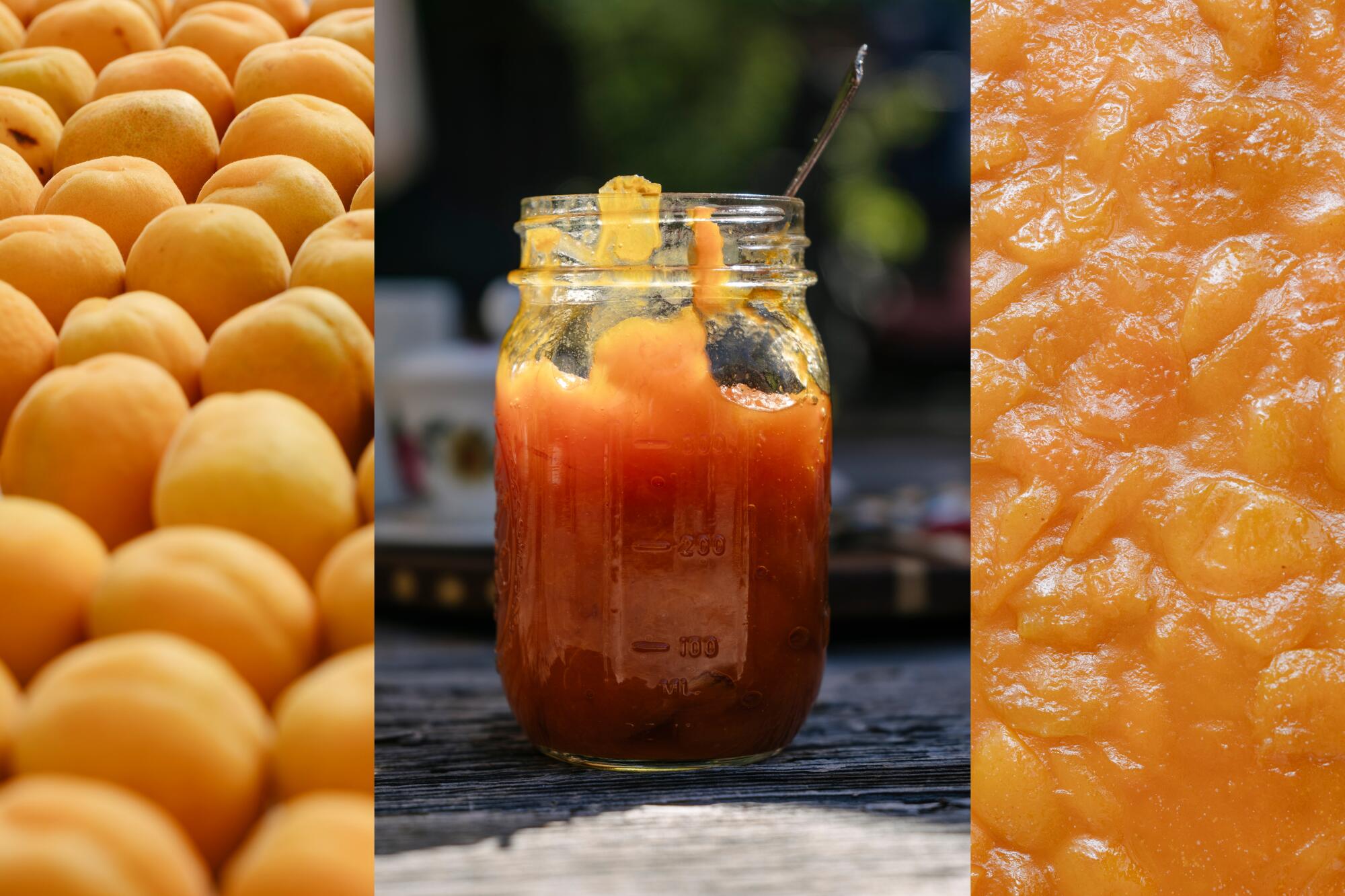 A triptych of whole apricots, a jar of apricot jam, and cooked apricots.