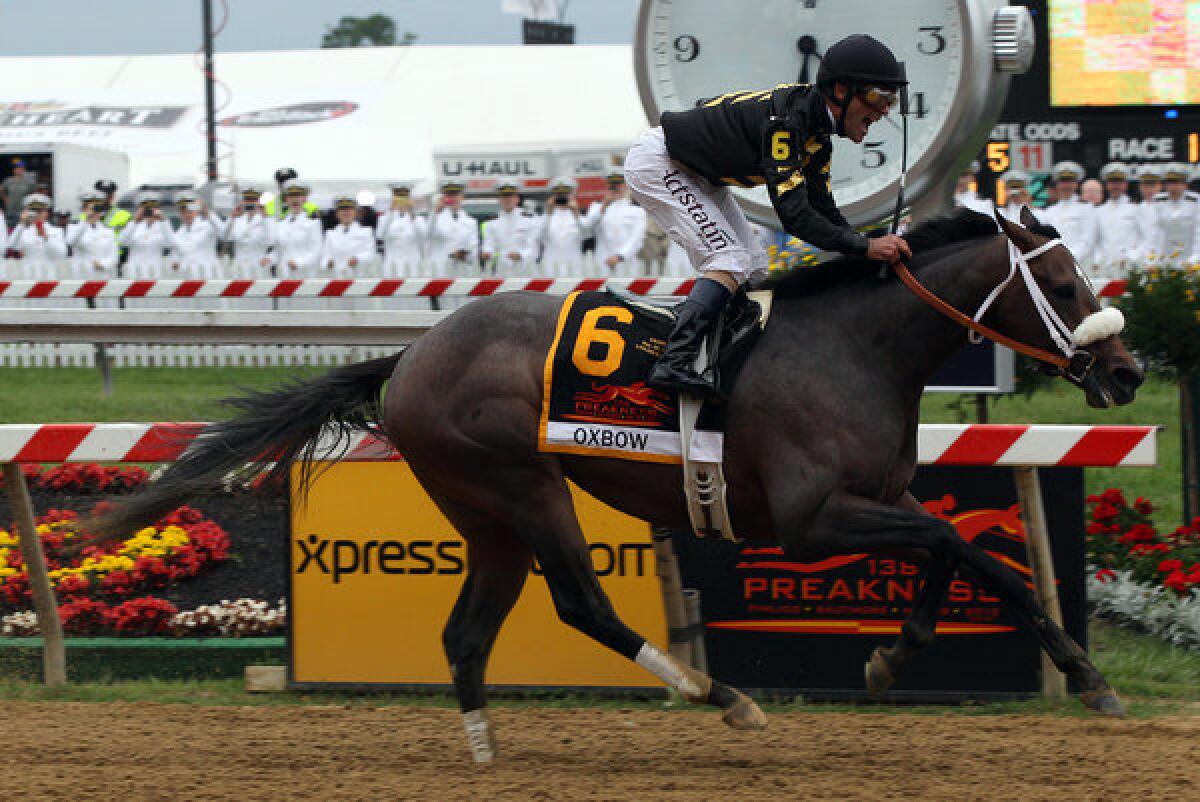 Jockey Gary Stevens guides Oxbow to the finish line to win the 138th Preakness Stakes on Saturday at Pimlico Race Course in Baltimore.